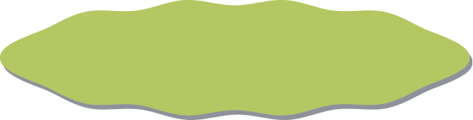 Boiler replacement finance in Derby carpet