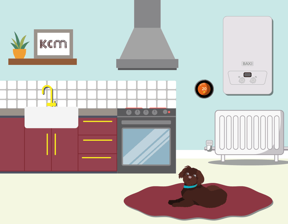 How to Re-pressurise your Boiler