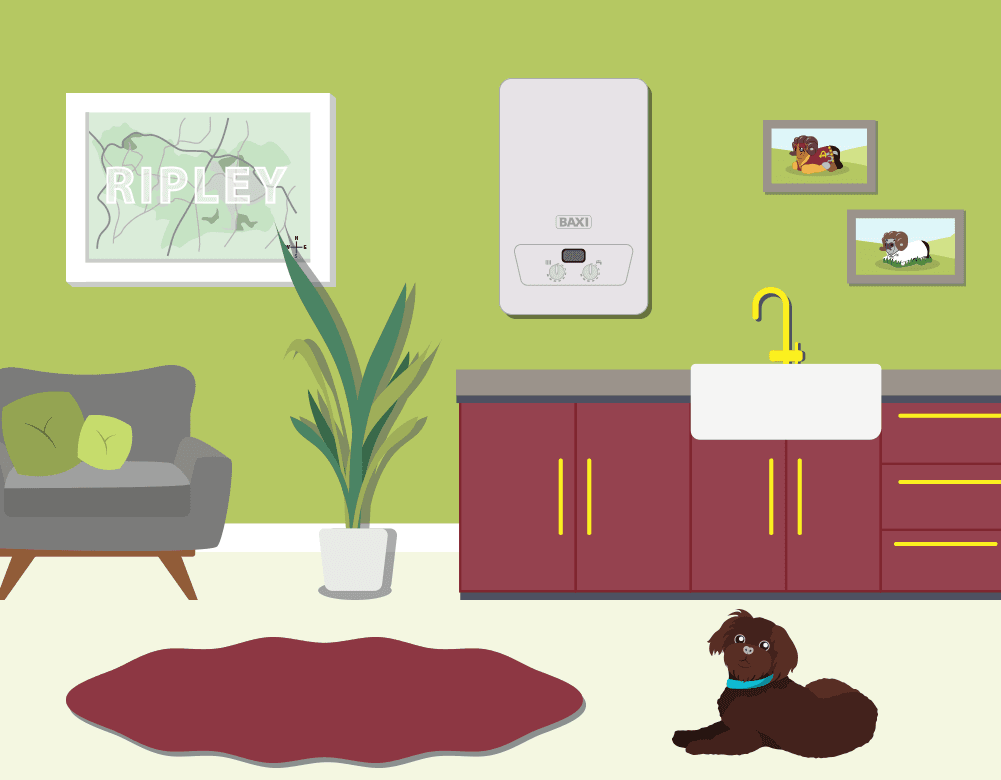 Boiler servicing experts Ripley Boiler servicing experts Ripley