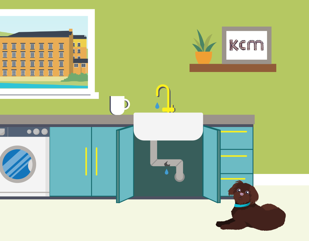 Signs you need professional plumbing services