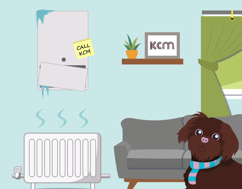 Top winter boiler issues