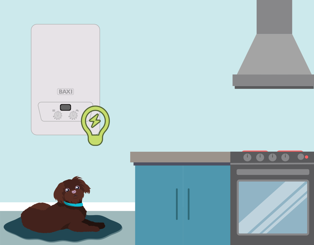 Upgrade to energy efficient boiler